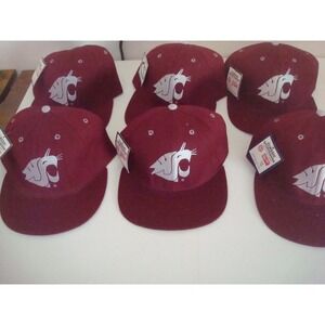 6PC LOT WASHINGTON STATE 80S FITTED ADULT NEW 90S HAT CAP DEADSTOCK  VINTAGE T7